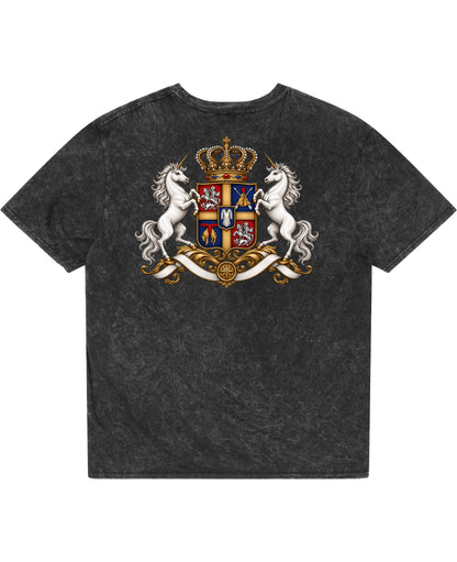 Acidwash Oversized T-shirt Back Design
