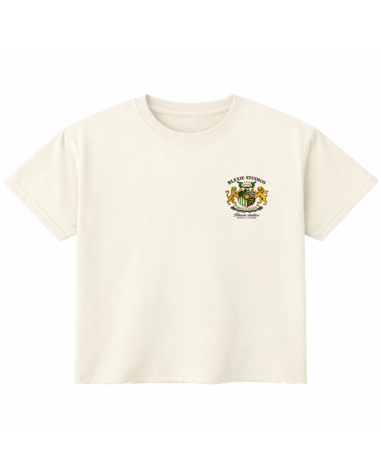 Off White Boxy Fit T-shirt Front Design